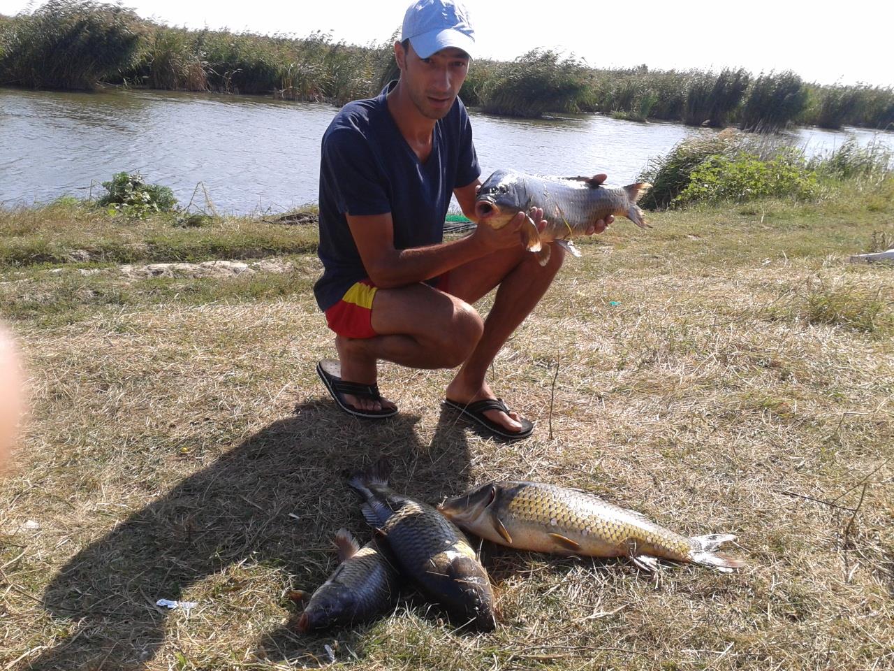 o mica parte din pesti de anul trecut - 2013-09-08-111920.jpg